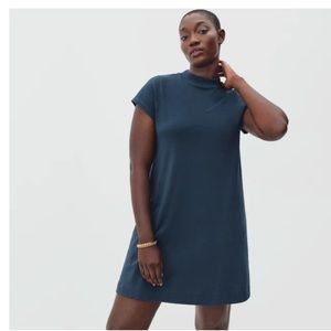 Everlane Weekend Swing Dress